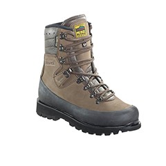 Footwear